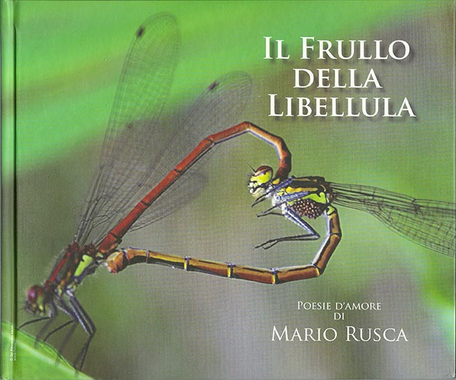 Il frullo della libellula 