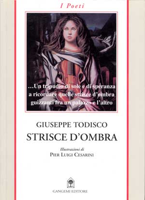 Copertina di "Strisce d'ombra"